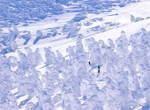 Ski Snow Monsters in Zaō Onsen, Mount Zaō, Japan