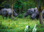Visit Ziwa Rhino Sanctuary, Uganda