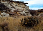 Visit Picture Canyon, Comanche National Grassland, Colorado