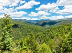 Explore Carson National Forest, New Mexico