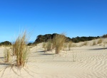 Explore Henty Dunes, Strahan, Tasmania, Australia