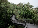 Hike Canopy Walk, Telok Blangah Hill Park, Southern Ridges, Singapore