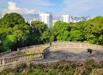 Explore Telok Blangah Hill Park, Southern Ridges, Singapore