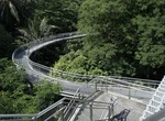 Hike Forest Walk, Telok Blangah Hill Park, Southern Ridges, Singapore
