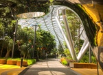 Visit Canopy Park, Changi Airport, Singapore