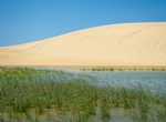 Go Sandboarding at Jockey's Ridge State Park, North Carolina