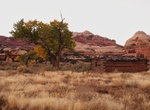 Hike to Kirk's Cabin, Salt Creek, Canyonlands National Park, Utah