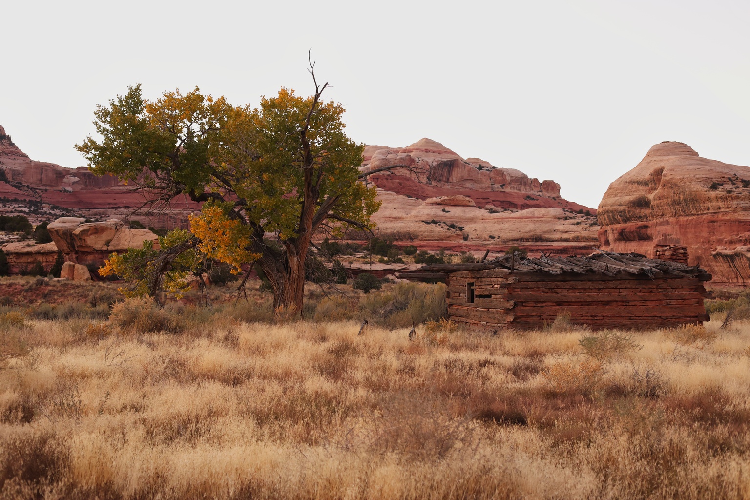 Kirk 39 s Cabin - Shutterstock 2384089151.2048x1024 