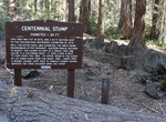 See Centennial Stump, Kings Canyon National Park, California