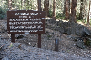 Centennial Stump - 38173224616 98c2f3418b O.300x199 
