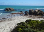 Visit Cape Banks Seal Colony, Canunda National Park, South Australia