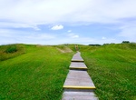 Visit Poverty Point National Monument, Louisiana (UNESCO Site)