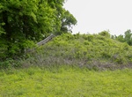 Visit Lower Jackson Mount, Poverty Point National Monument, Louisiana