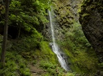 Hike to Cabin Creek Falls, Starvation Creek State Park, Oregon