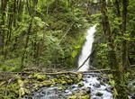 Hike or Bike to Ruckel Creek Waterfall, Columbia River Highway State Trail, Oregon