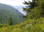Hike Wygant Trail, Hood River, Oregon