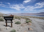 Visit Tamarack Beach, Walker Lake, Nevada