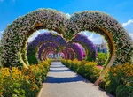 Visit Dubai Miracle Garden, Dubailand, Dubai
