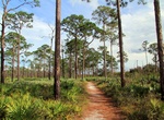 Hike Ocean to Lake Trail, Florida
