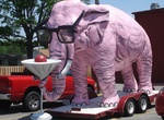 Find Pinky: Elephant with Martini, Springfield, Illinois