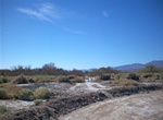 Visit Tule Spring, Death Valley National Park, California