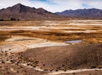 Visit Grimshaw Lake Important Bird Area, Tecopa, California