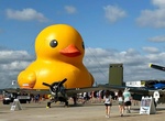 See World's Largest Rubber Duck