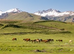 Explore Suusamyr Valley, Kyrgyzstan
