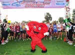 Participate in Coronado Valentine's Day 10K, 5K and Fun Run, Coronado, California