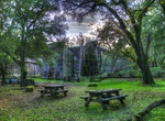 Visit Bale Grist Mill State Historic Park, Napa Valley, California
