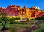 Visit Fruita, Capitol Reef National Park, Utah