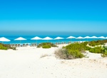 Visit Saadiyat Island, Abu Dhabi, United Arab Emirates