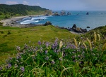 Explore Samuel H. Boardman State Scenic Corridor, Oregon
