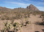 Explore Nopoló National Park, Loreto, Baja California Sur, Mexico