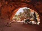 See Navajo Arch, Arches National Park
