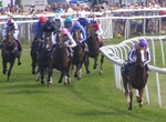 Attend The Derby (Epsom Derby), Epsom, Surrey, England