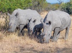 Explore Matobo National Park, Zimbabwe (UNESCO site)