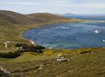 Visit Falkland Islands (Malvinas)