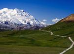 Explore Denali National Park, Alaska