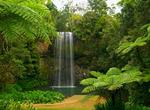 Explore the Wet Tropics of Queensland, Australia (UNESCO site)