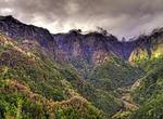 Explore the Laurisilva Forest of Madeira, Portugal (UNESCO site)