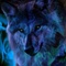 shewolfhowling@att.net